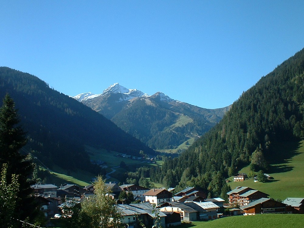 location gîte chalet areches beaufort savoie mont-blanc le planay été hiver