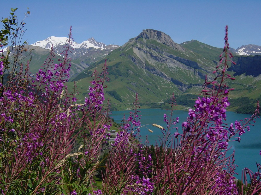 location gîte blanc lucien chalet areches beaufort savoie mont-blanc le planay été hiver