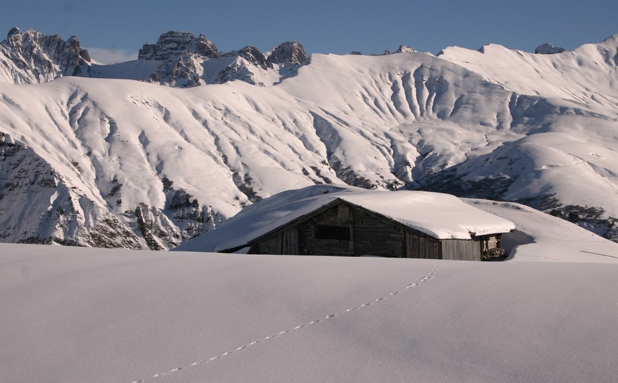 location gîte blanc lucien chalet areches beaufort savoie mont-blanc le planay été hiver